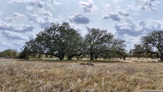 8651 W FM 476 Poteet, TX 78065