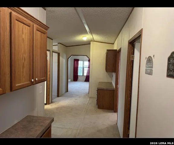1667 COUNTY ROAD 345 Knippa, TX 78870