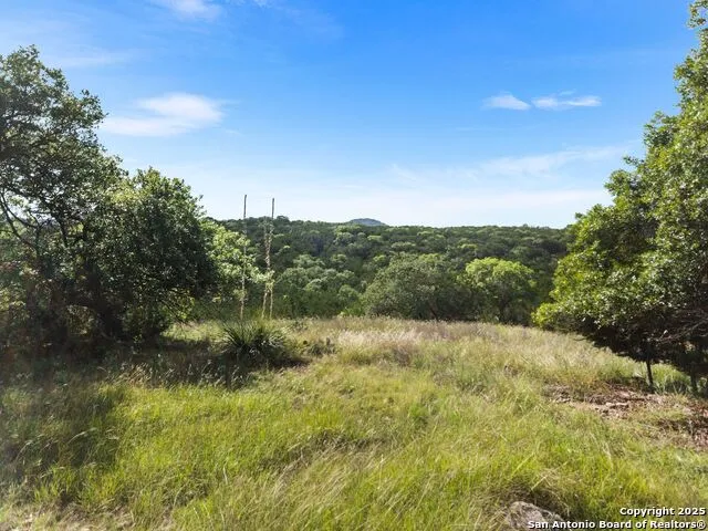 4366 Whartons Dock Bandera, TX 78003