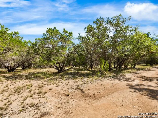 4366 Whartons Dock Bandera, TX 78003