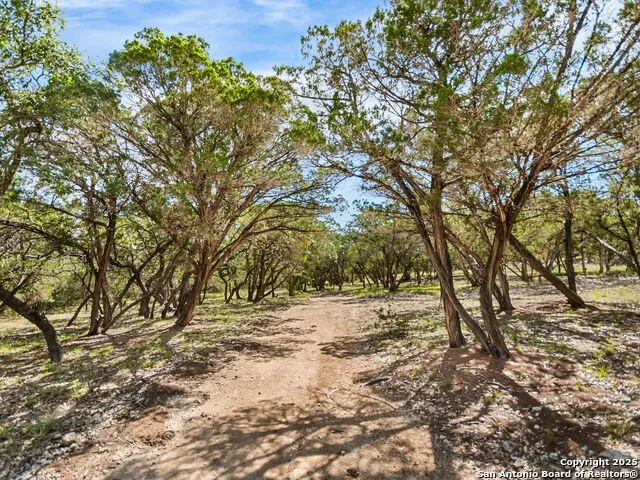 4366 Whartons Dock Bandera, TX 78003