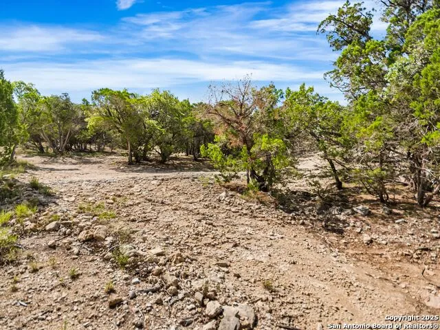 4366 Whartons Dock Bandera, TX 78003