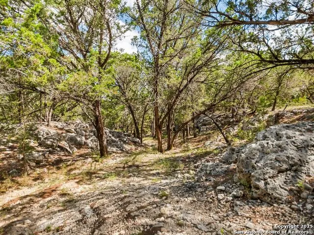 4366 Whartons Dock Bandera, TX 78003