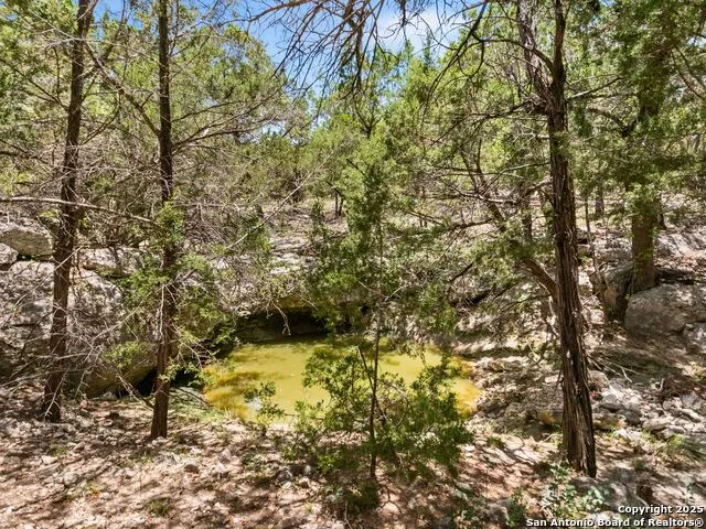 4366 Whartons Dock Bandera, TX 78003