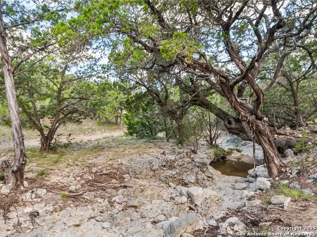 4366 Whartons Dock Bandera, TX 78003