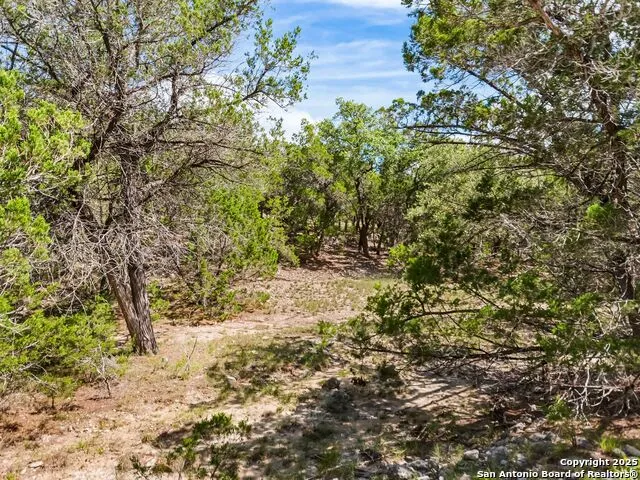4366 Whartons Dock Bandera, TX 78003