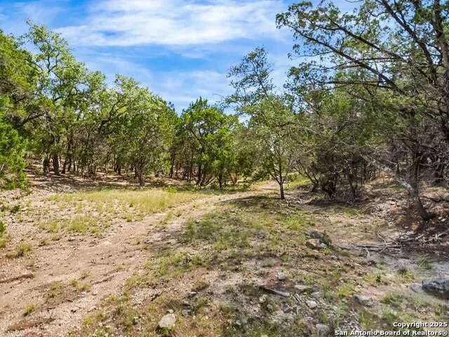4366 Whartons Dock Bandera, TX 78003