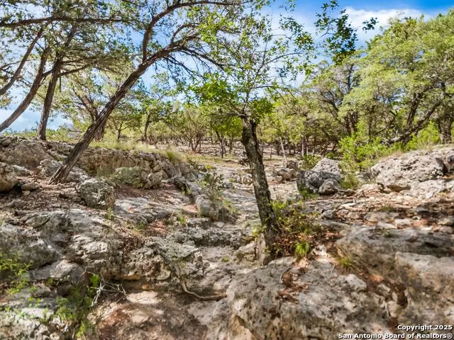 4366 Whartons Dock Bandera, TX 78003