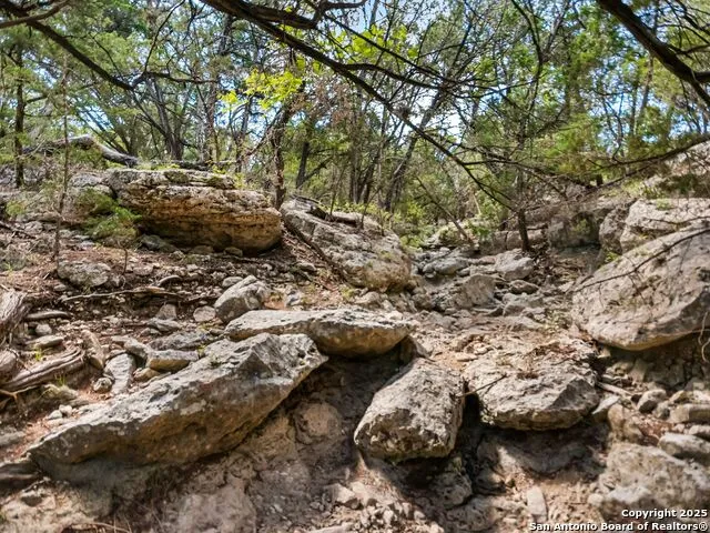 4366 Whartons Dock Bandera, TX 78003