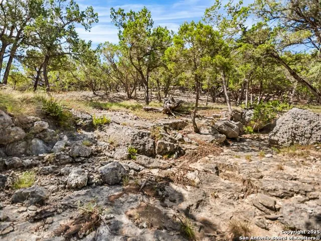 4366 Whartons Dock Bandera, TX 78003