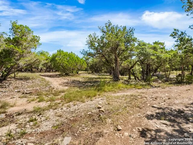 4366 Whartons Dock Bandera, TX 78003