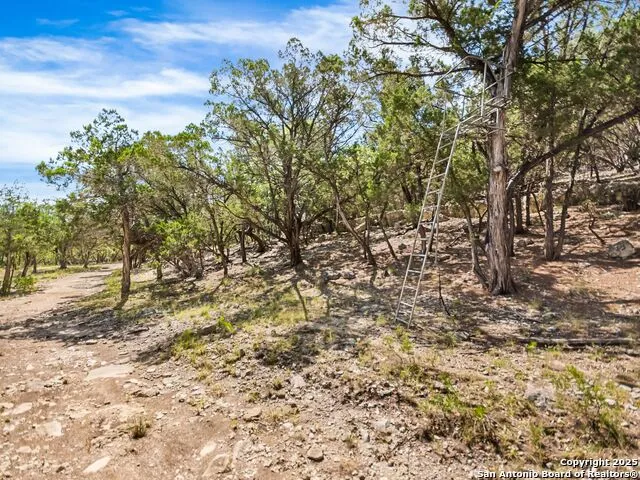 4366 Whartons Dock Bandera, TX 78003