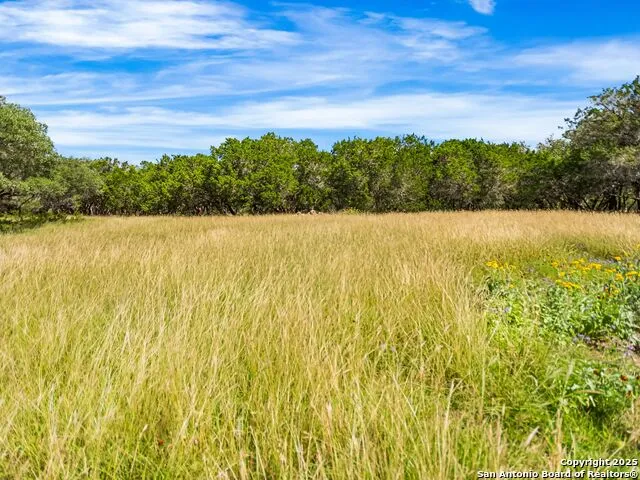 4366 Whartons Dock Bandera, TX 78003