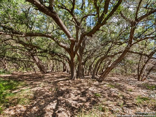 4366 Whartons Dock Bandera, TX 78003