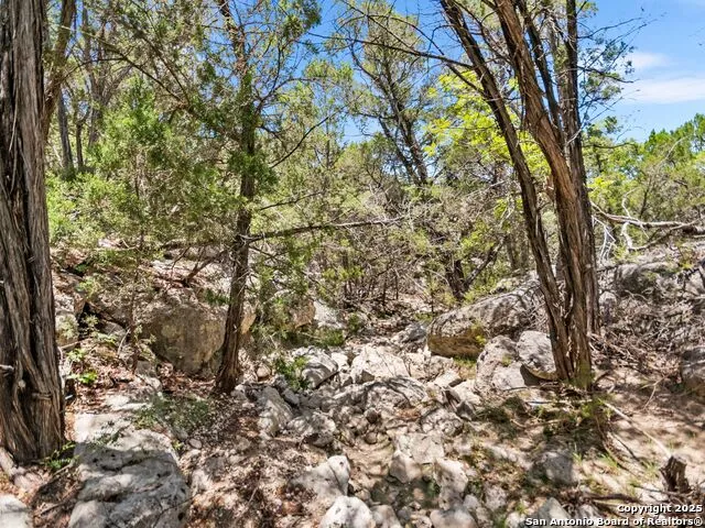 4366 Whartons Dock Bandera, TX 78003