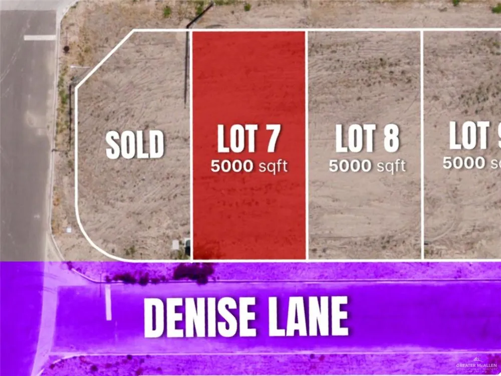 Lot 7 Denise Lane Roma, TX 78584