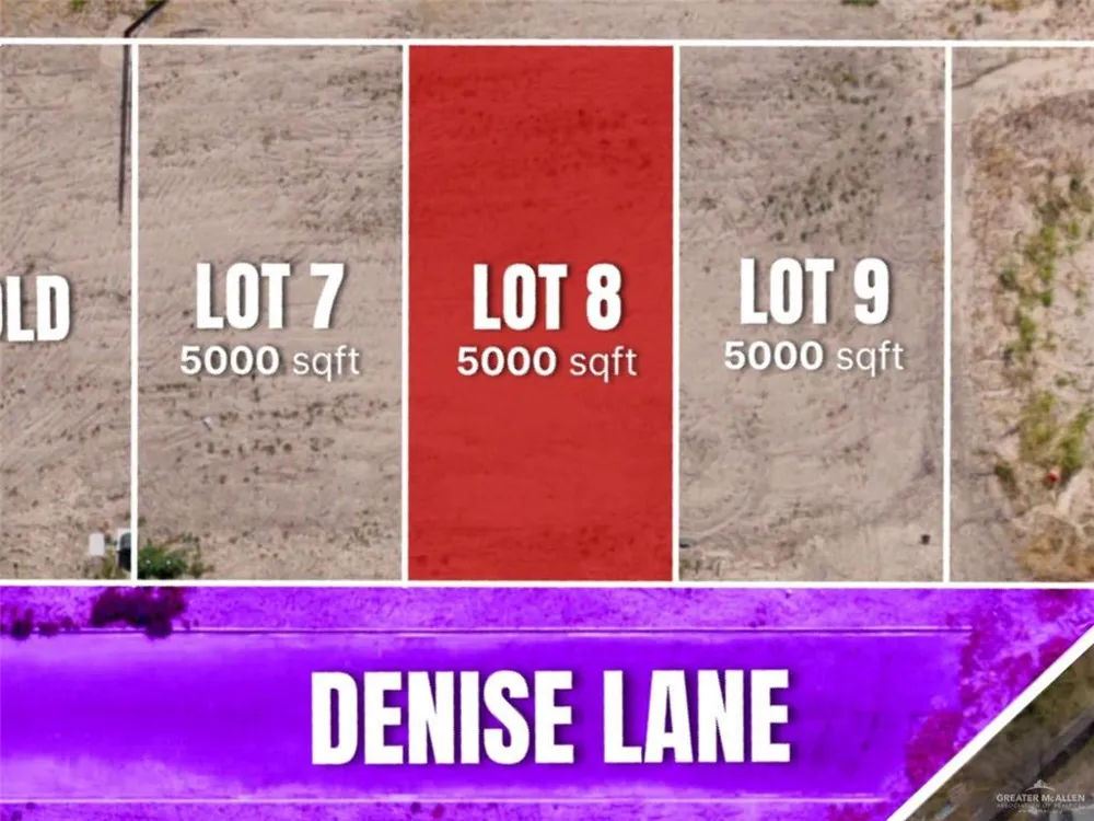 Lot 8 Denise Lane Roma, TX 78584