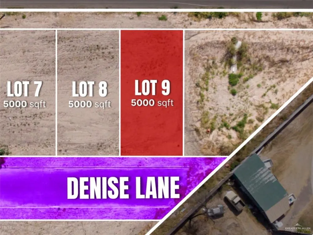 Lot 9 Denise Lane Roma, TX 78584