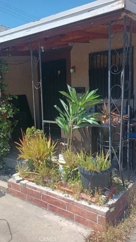 8894 Juniper