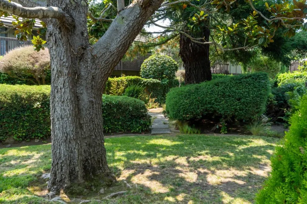 9500 Center Street #4 Carmel, CA 93923