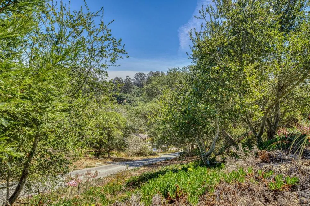 665 Paradise Road #B Salinas, CA 93907