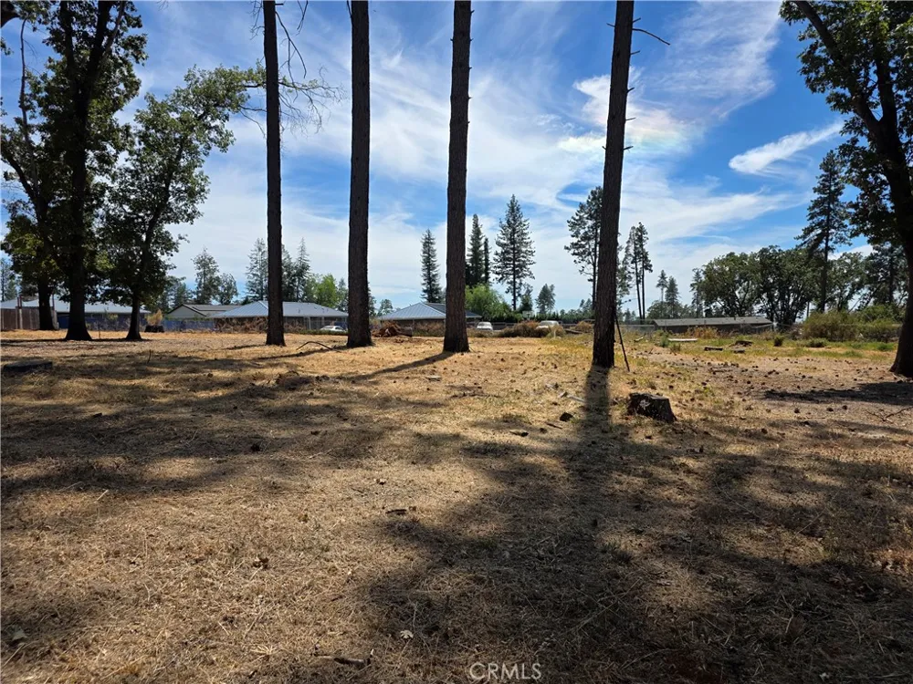 1652 Cottontail Paradise, CA 95969
