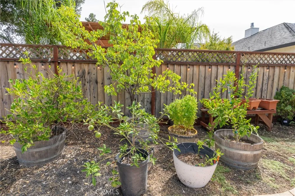 1464 Lucy Chico, CA 95973