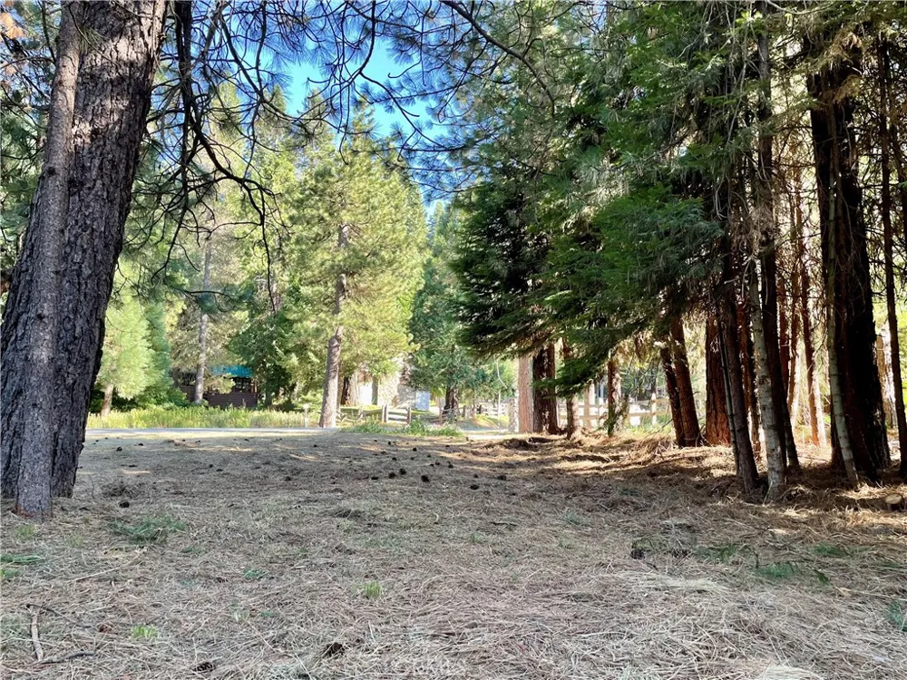 8 Hwy 41 Fish Camp, CA 93623