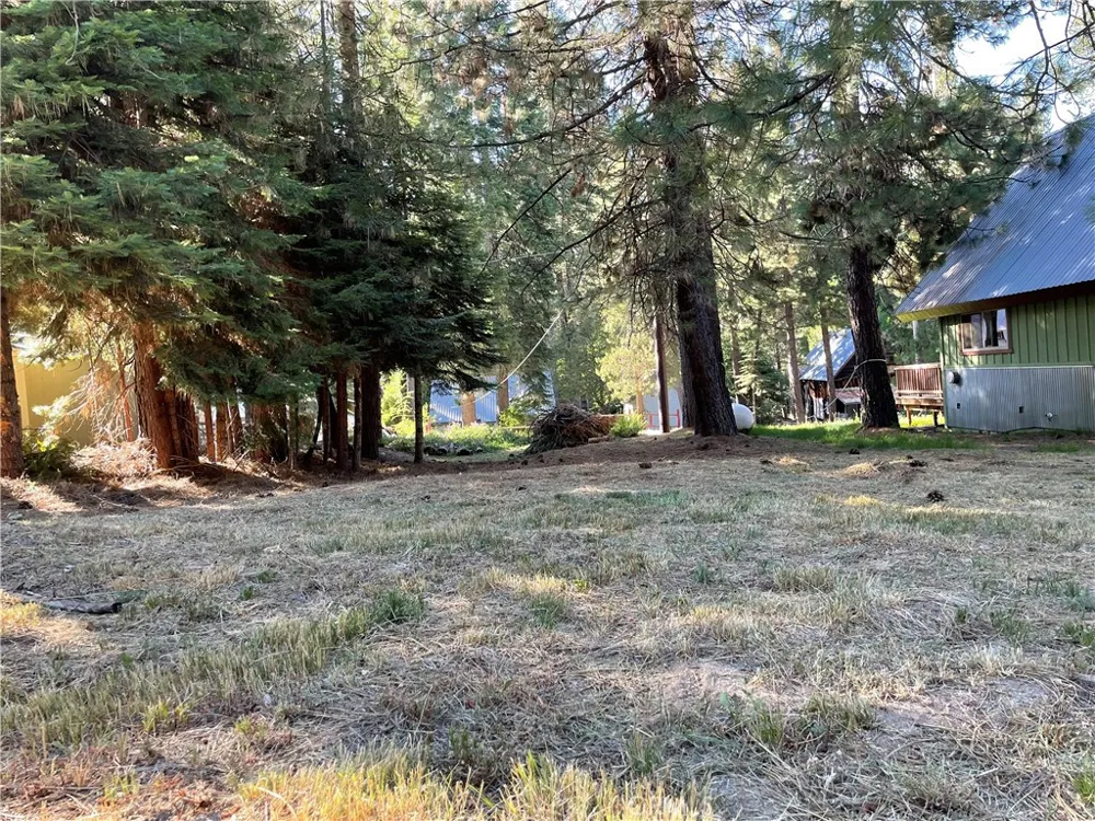 8 Hwy 41 Fish Camp, CA 93623