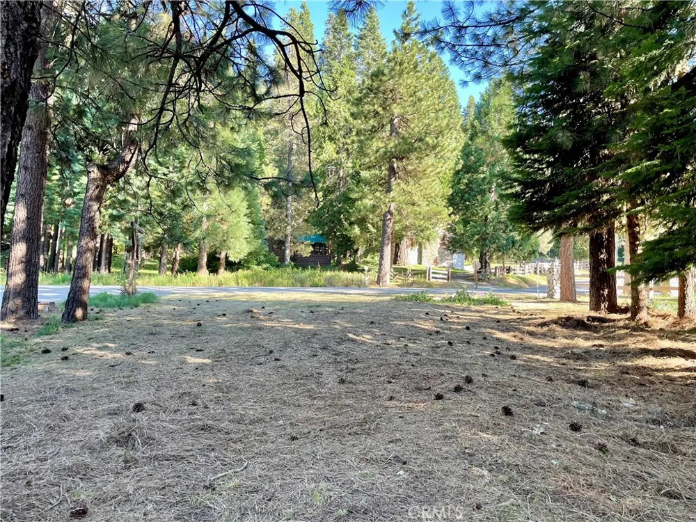 8 Hwy 41 Fish Camp, CA 93623