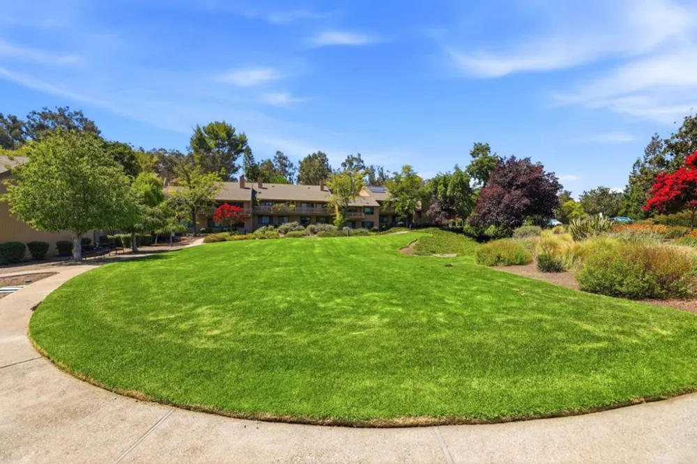 109 Spyglass Hill Road San Jose, CA 95127