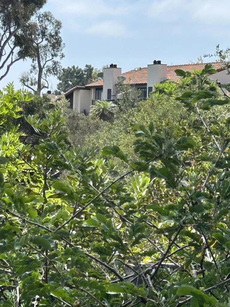 2146 Valleydale Lane Encinitas, CA 92024