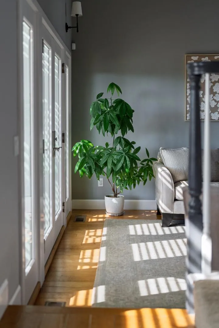3395 Daffodil Court Soquel, CA 95073