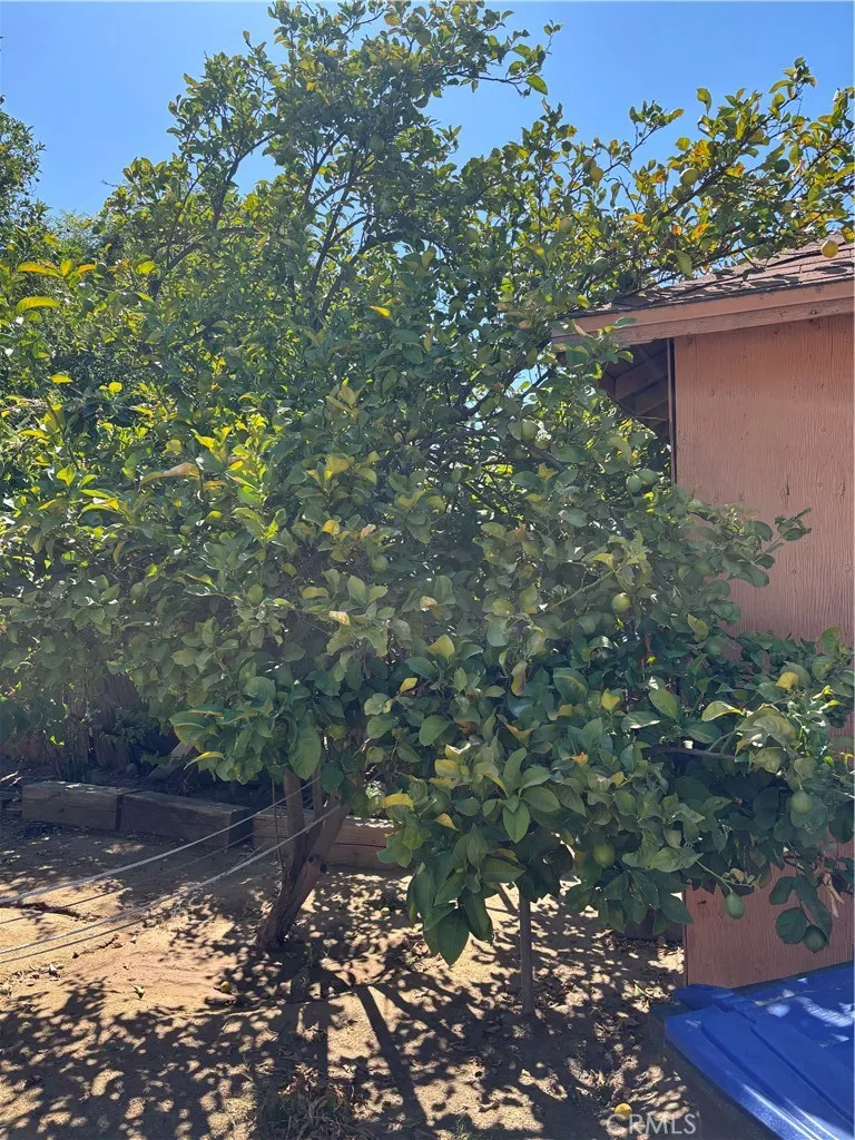 242 E M Colton, CA 92324