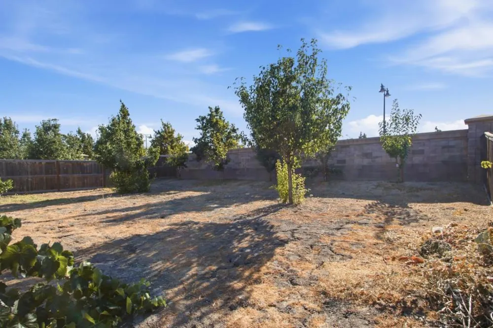 1307 S Hart Drive Mountain House, CA 95391