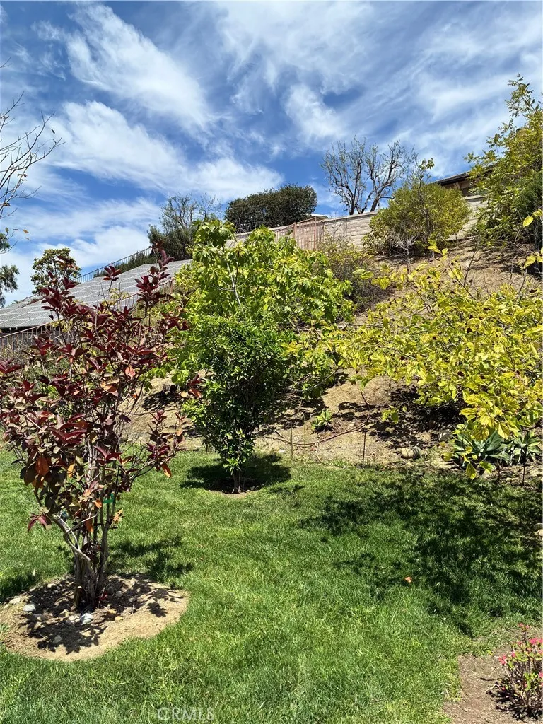 31378 Juliana Farms Road San Juan Capistrano, CA 92675