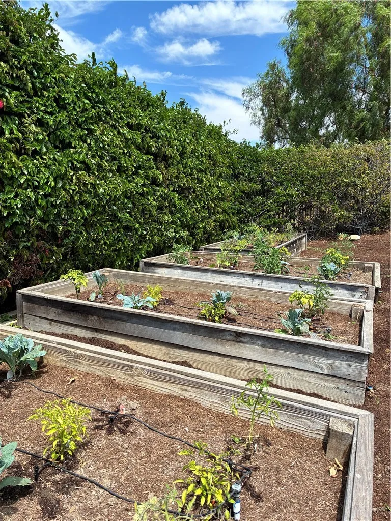 31378 Juliana Farms Road San Juan Capistrano, CA 92675
