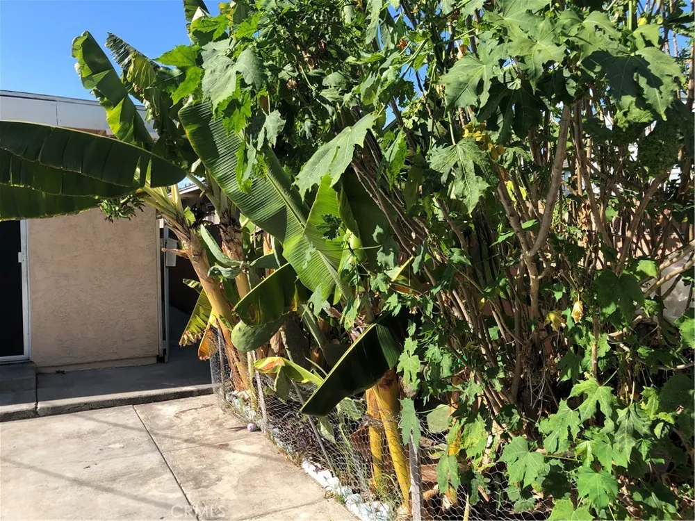 1234 E Oak Street Anaheim, CA 92805