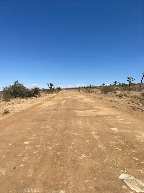 Vac Fort Tejon Drt Vic