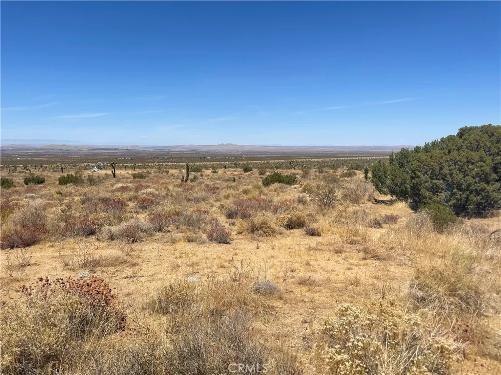 Vac Fort Tejon Drt Vic Llano, CA 93544