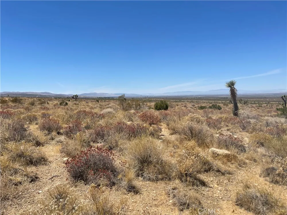 Vac Fort Tejon Drt Vic Llano, CA 93544