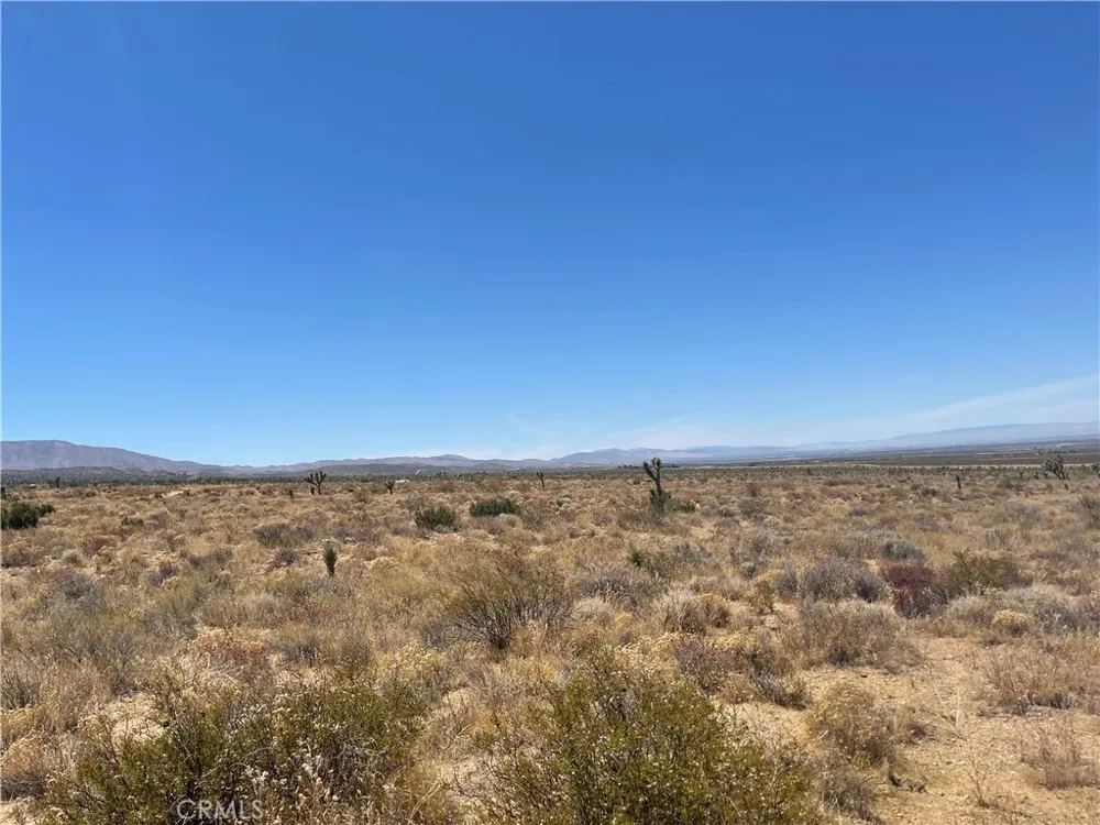Vac Fort Tejon Drt Vic Llano, CA 93544