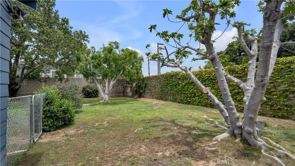 207 W Buffalo Avenue Santa Ana, CA 92706