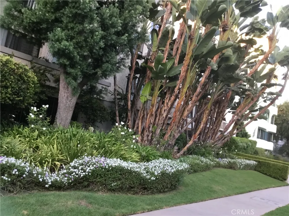 1440 VETERAN AVENUE #322 Los Angeles, CA 90024