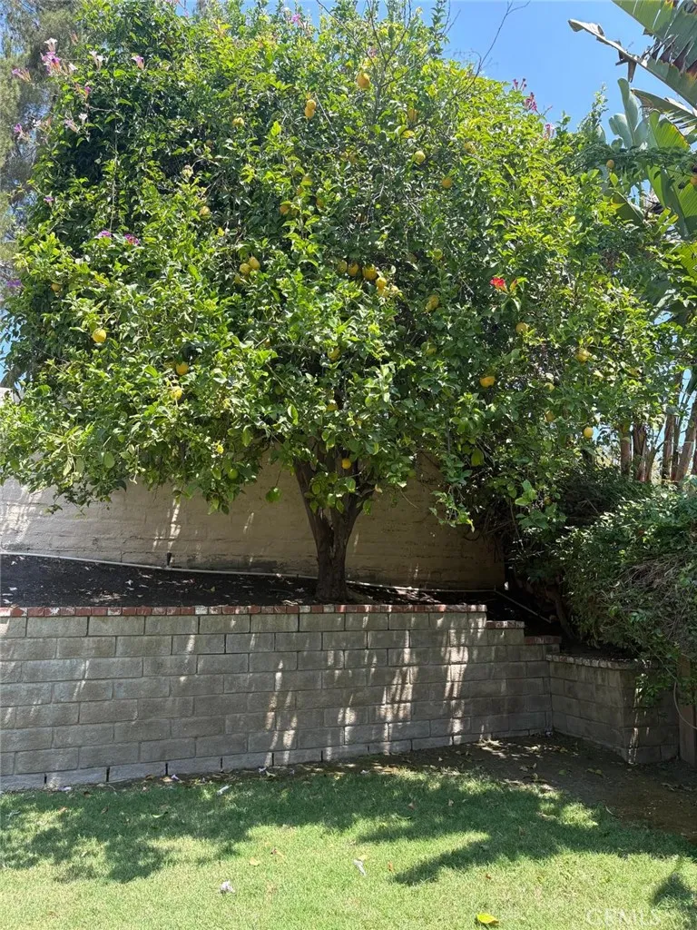 2100 Shady Brook dr Thousand Oaks, CA 91362