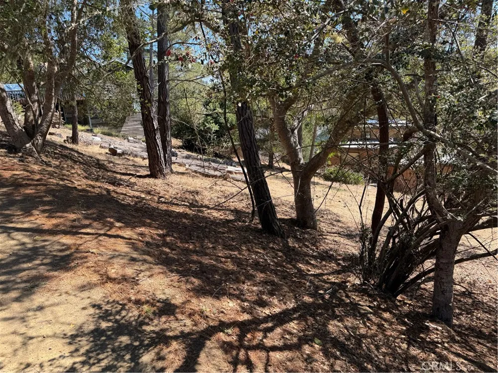 Pierce Ave Cambria, CA 93428