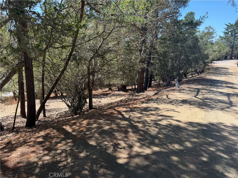 Pierce Ave Cambria, CA 93428