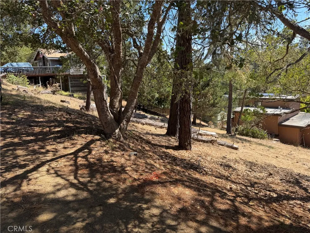 Pierce Ave Cambria, CA 93428