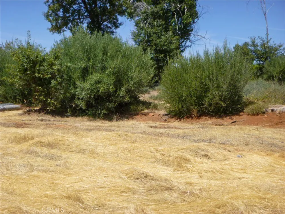 5667 Clara Lane Paradise, CA 95969