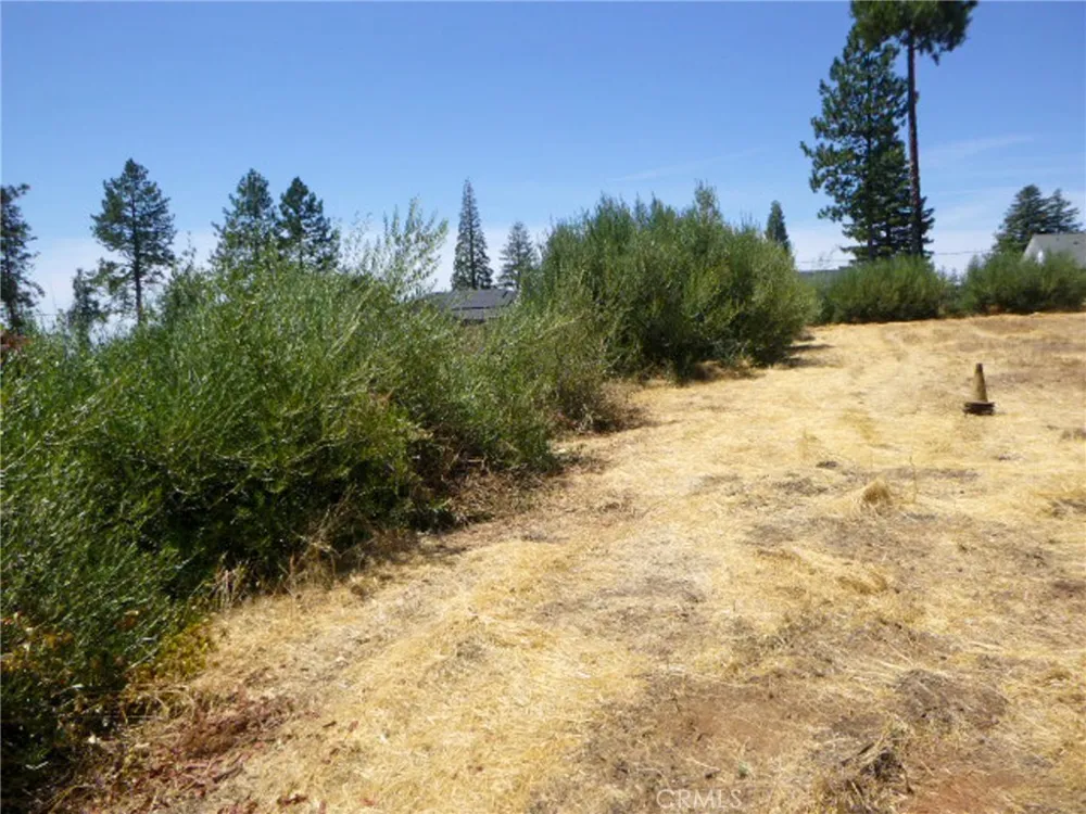 5667 Clara Lane Paradise, CA 95969